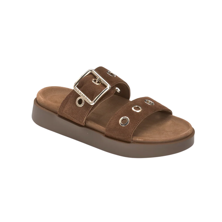 TILDA BUCKLE DARK BROWN