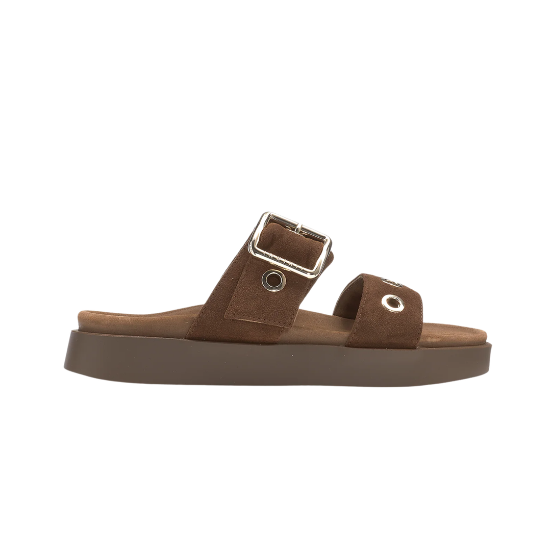 TILDA BUCKLE DARK BROWN