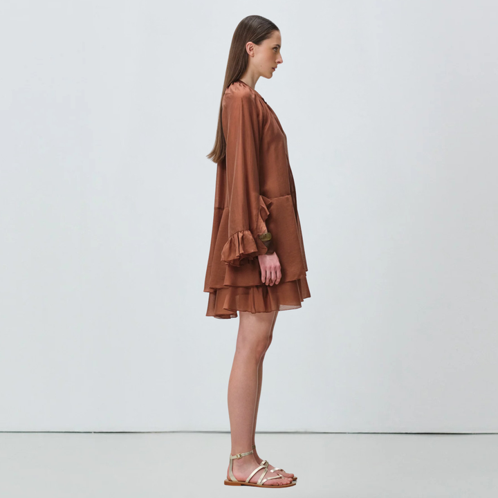 Sheen Dress Brown