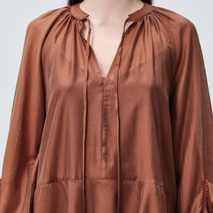 Sheen Dress Brown