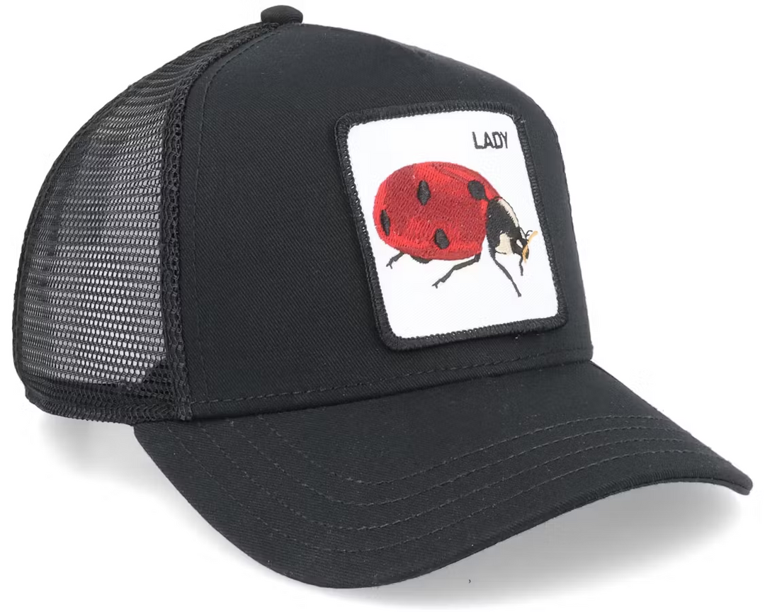 The lady Bug Svart