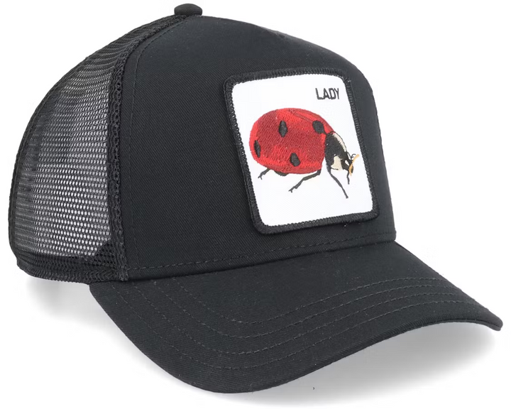 The lady Bug Svart